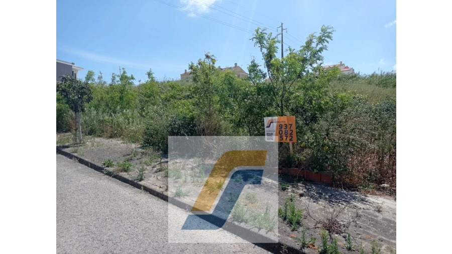 Terreno para Venda em Lourinhã e Atalaia Foto 2