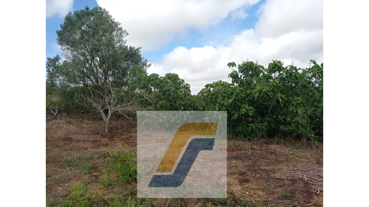 Terreno para Venda em São Bartolomeu dos Galegos e Moledo Foto 10