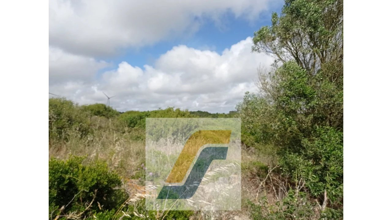 Terreno para Venda em São Bartolomeu dos Galegos e Moledo Foto 11