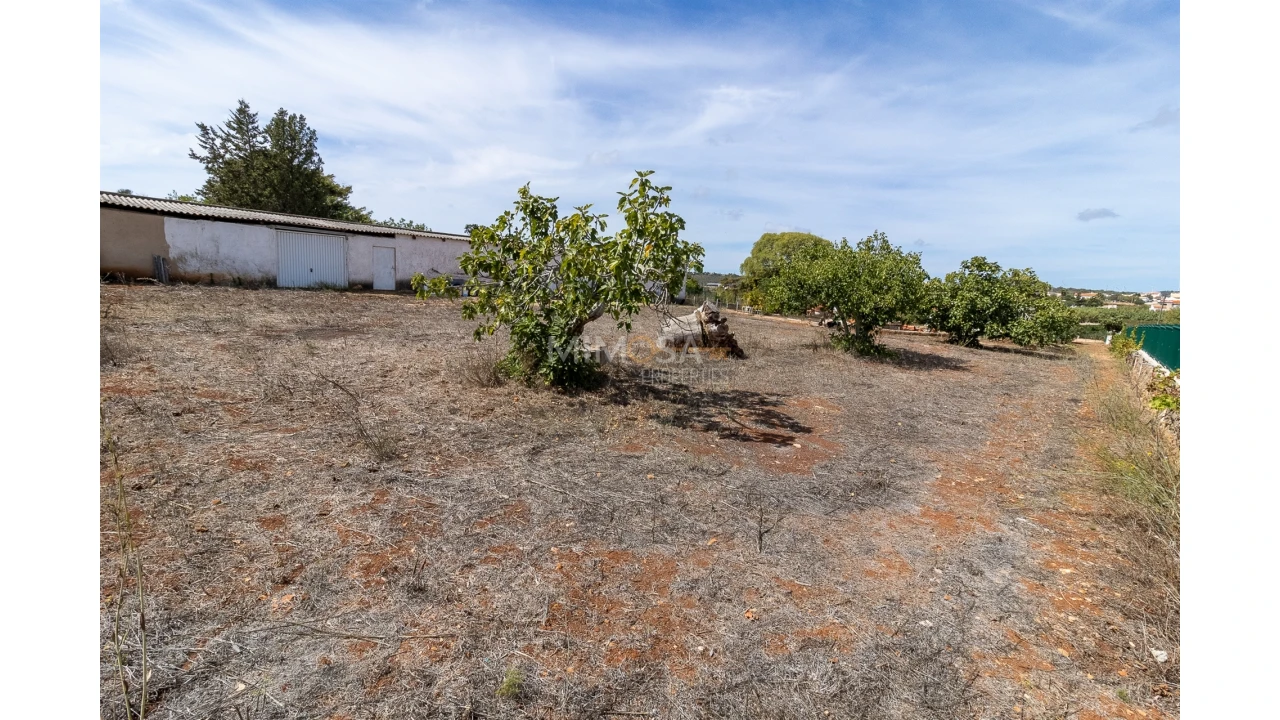 Quinta T3 para Venda em Luz Foto 23