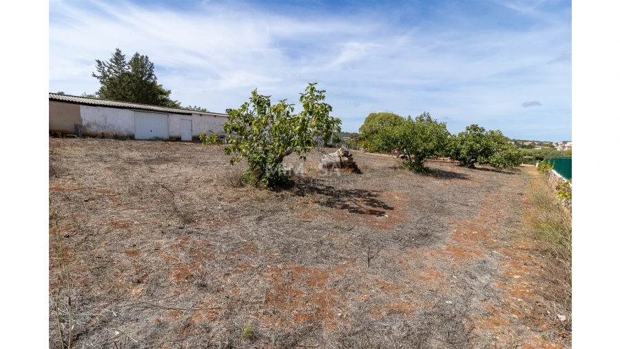 Quinta T3 para Venda em Luz Foto 23