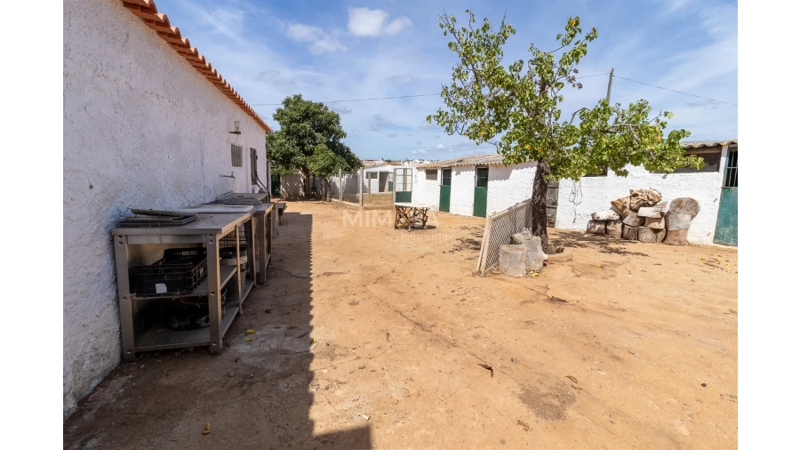 Quinta T3 para Venda em Luz Foto 15