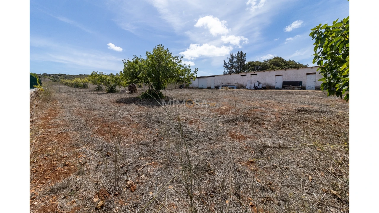 Quinta T3 para Venda em Luz Foto 20