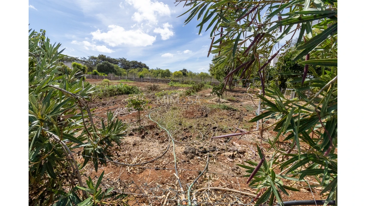 Quinta T3 para Venda em Luz Foto 18