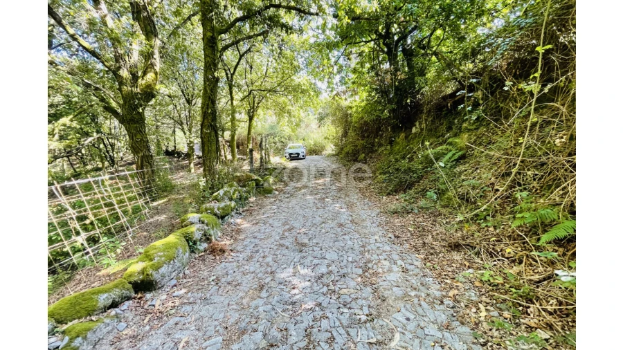 Terreno para Venda em Caniçada e Soengas Foto 16