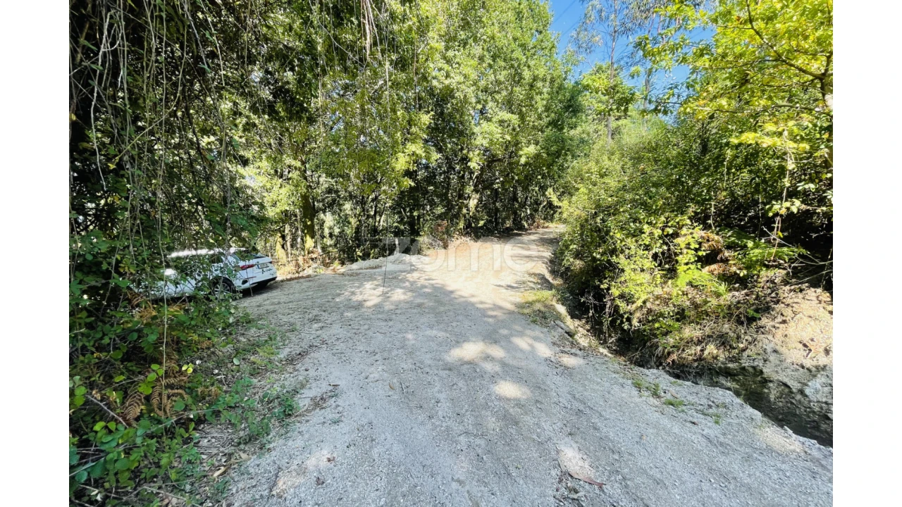 Terreno para Venda em Caniçada e Soengas Foto 15