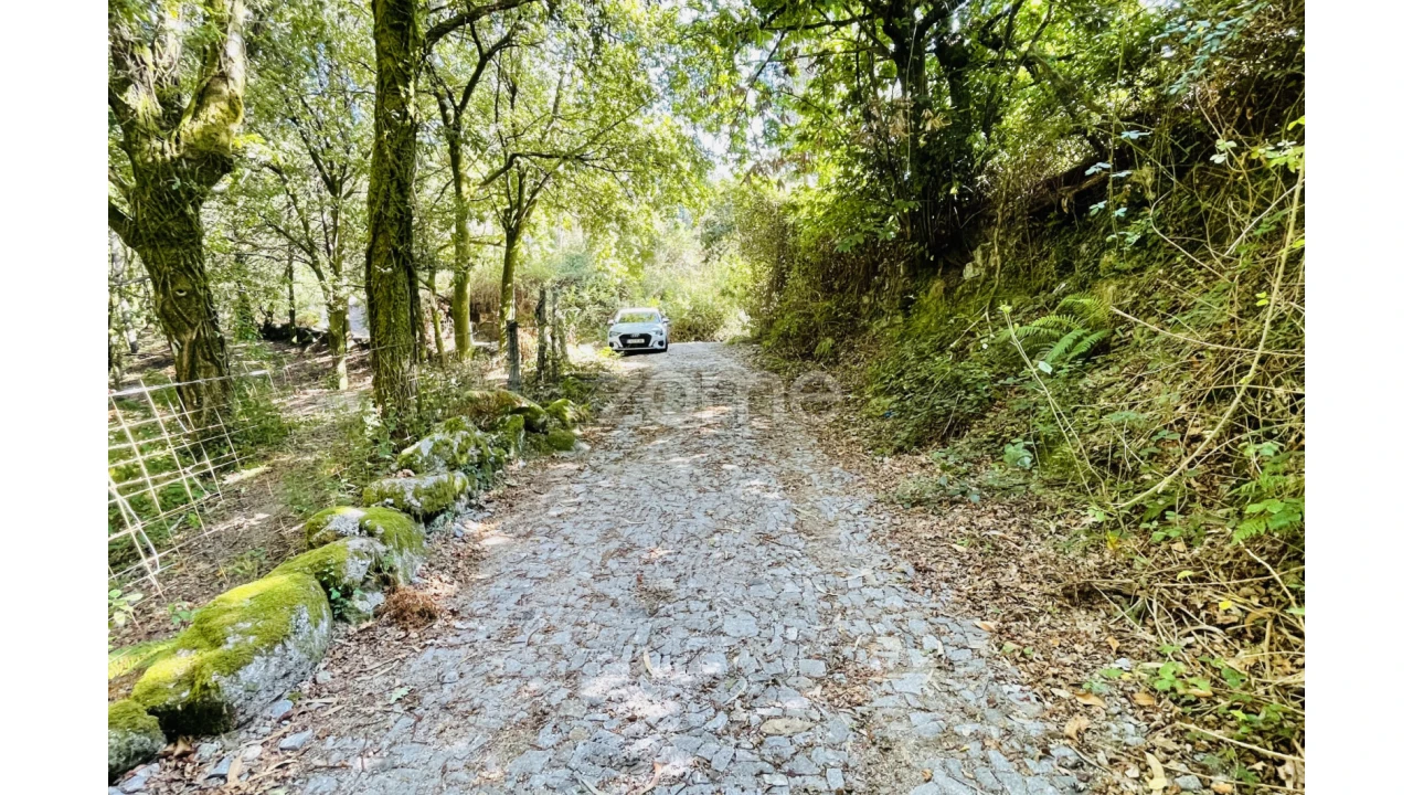 Terreno para Venda em Caniçada e Soengas Foto 13
