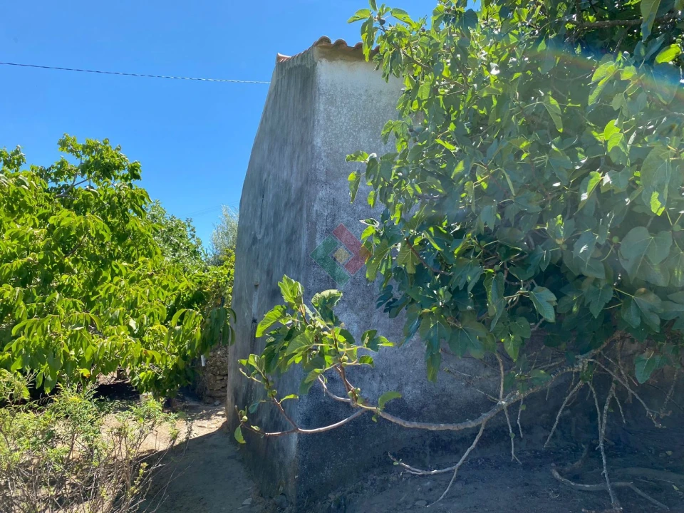 Quinta T2 para Venda em Santa Maria da Devesa Foto 1