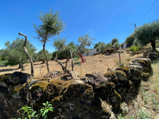 Quinta T2 para Venda em Santa Maria da Devesa Foto 7