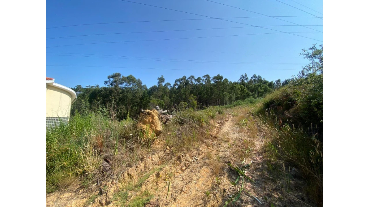 Terreno para Venda em Assafarge e Antanhol Foto 4