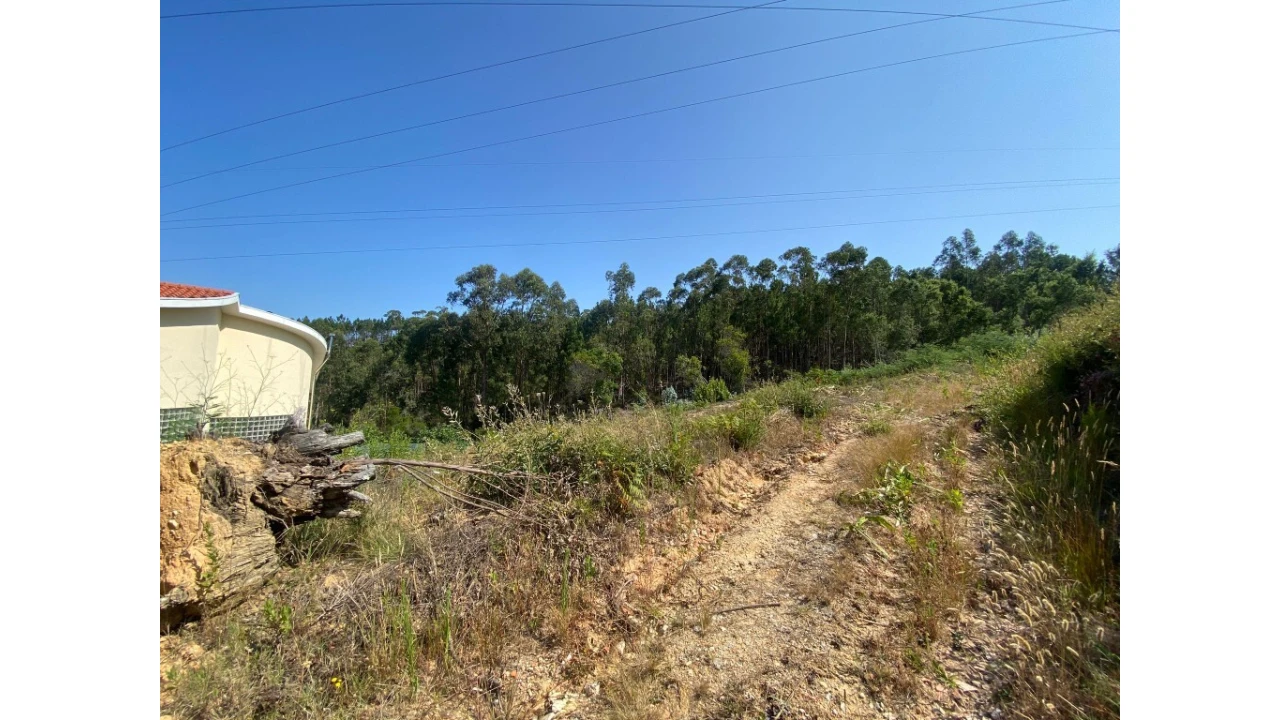 Terreno para Venda em Assafarge e Antanhol Foto 3