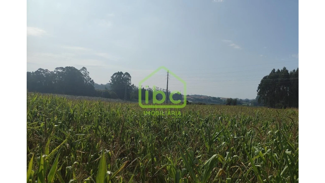 Terreno para Venda em Guilhabreu Foto 1