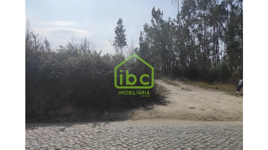 Terreno para Venda em Guilhabreu Foto 11