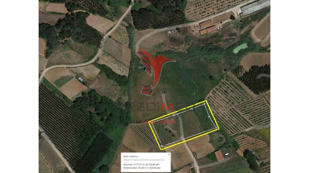 Terreno para Venda em Miragaia e Marteleira Foto 2