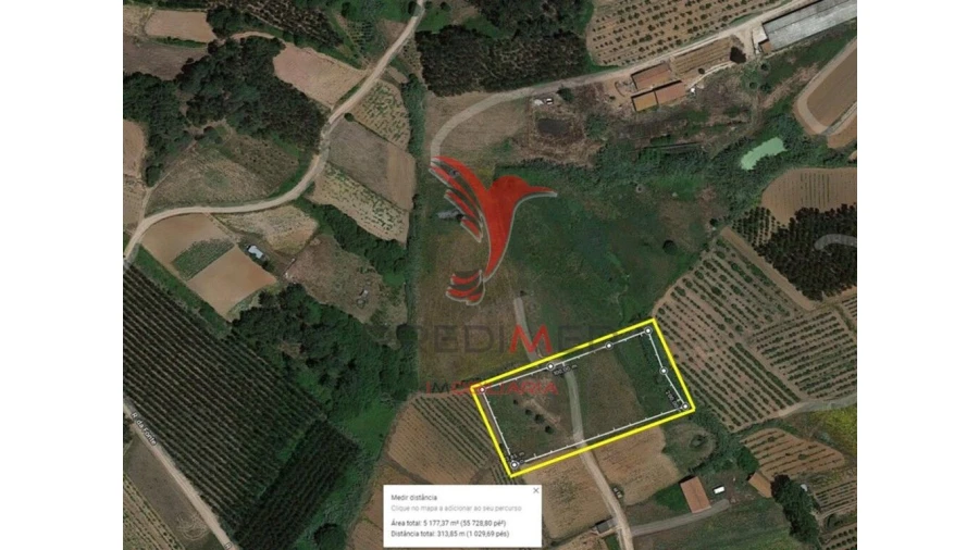 Terreno para Venda em Miragaia e Marteleira Foto 2