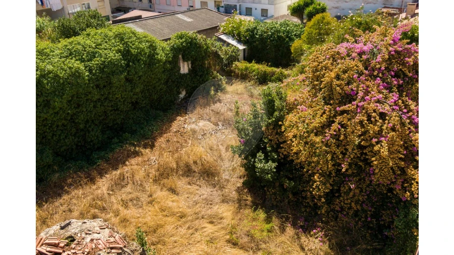 Prédio para Venda em Cartaxo e Vale da Pinta Foto 12
