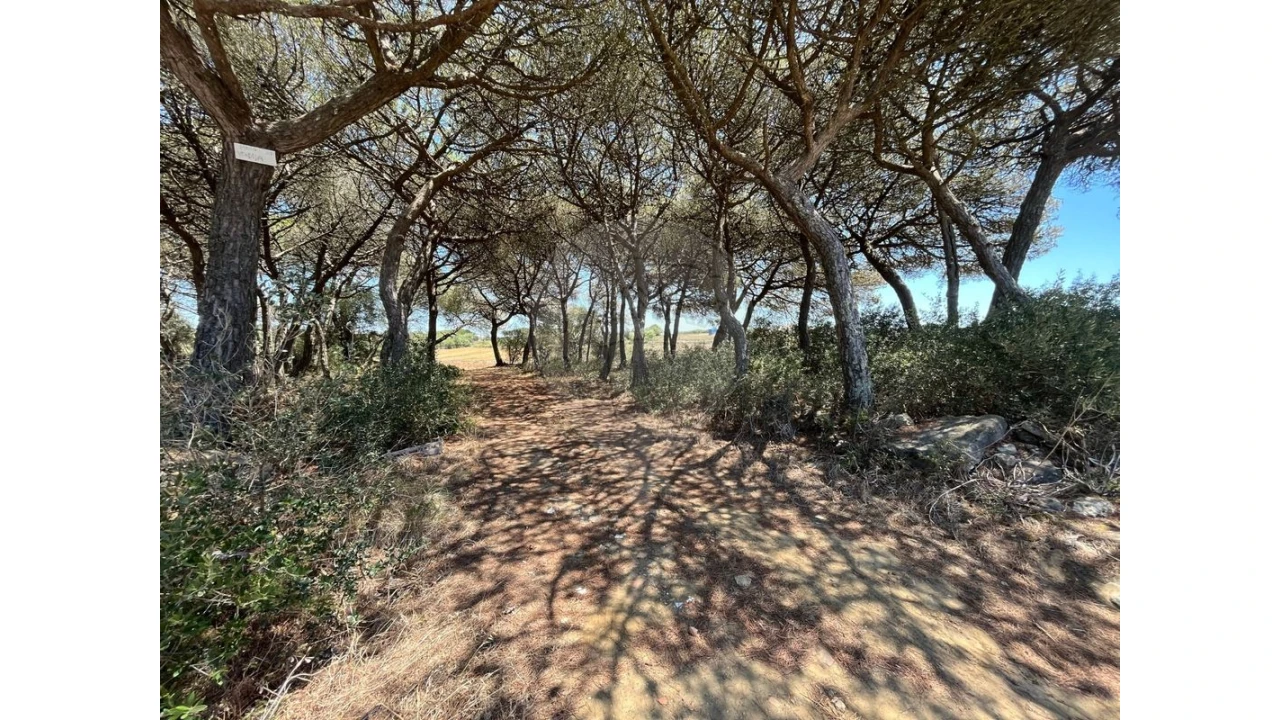 Terreno para Venda em São João das Lampas e Terrugem Foto 9