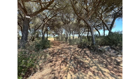 Terreno para Venda em São João das Lampas e Terrugem