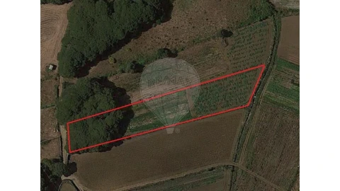 Terreno para Venda em São João das Lampas e Terrugem
