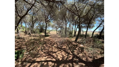 Terreno para Venda em São João das Lampas e Terrugem