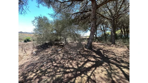 Terreno para Venda em São João das Lampas e Terrugem