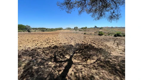 Terreno para Venda em São João das Lampas e Terrugem