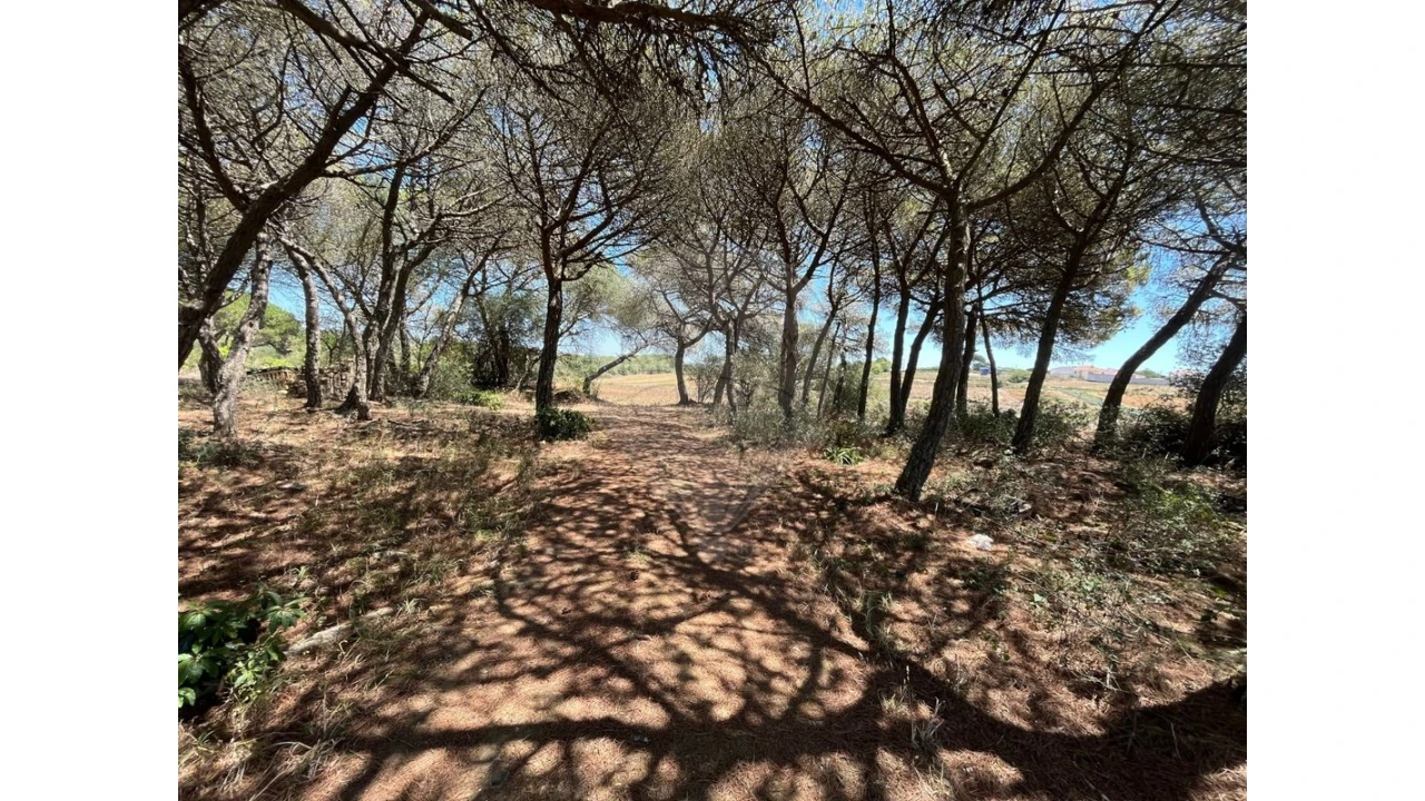Terreno para Venda em São João das Lampas e Terrugem Foto 8