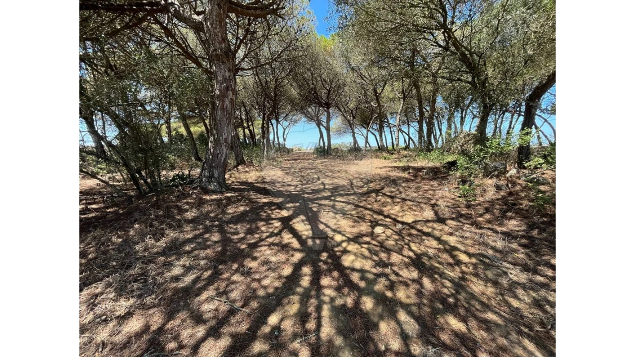 Terreno para Venda em São João das Lampas e Terrugem Foto 12