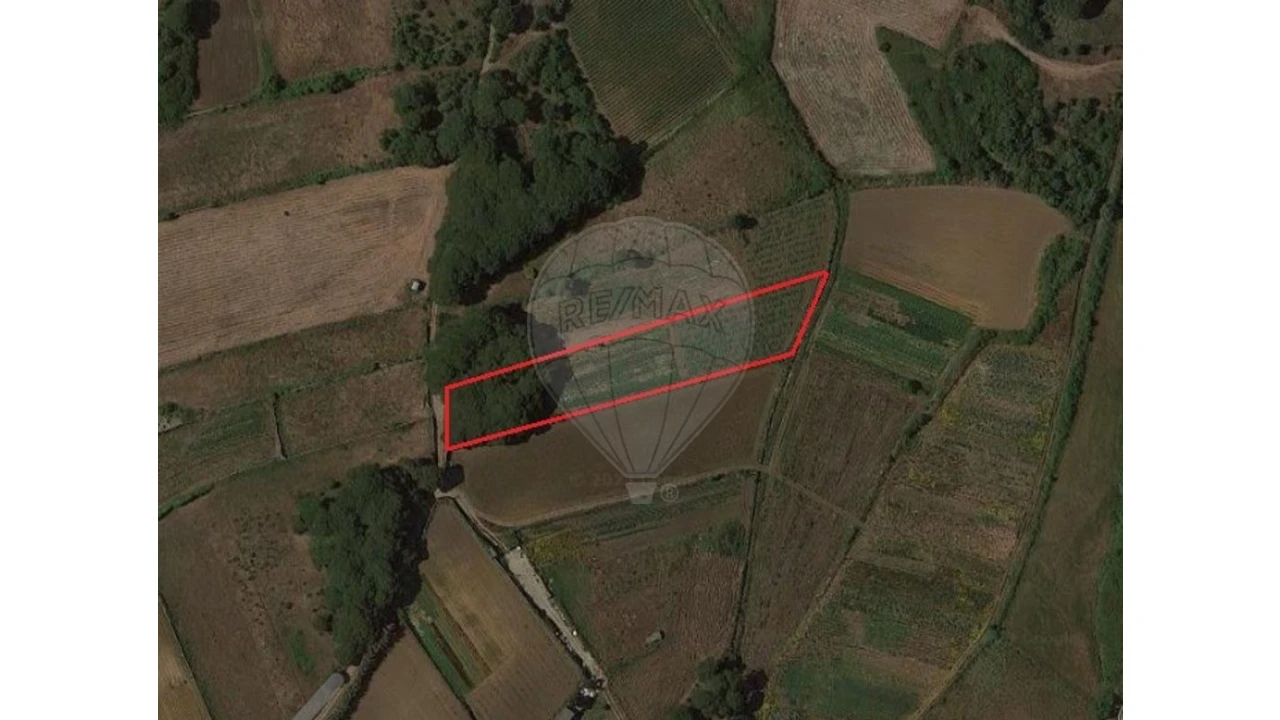 Terreno para Venda em São João das Lampas e Terrugem Foto 15