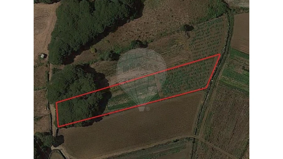 Terreno para Venda em São João das Lampas e Terrugem Foto 14