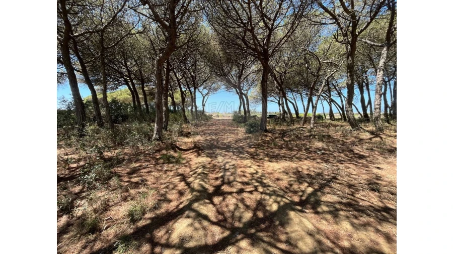 Terreno para Venda em São João das Lampas e Terrugem Foto 4