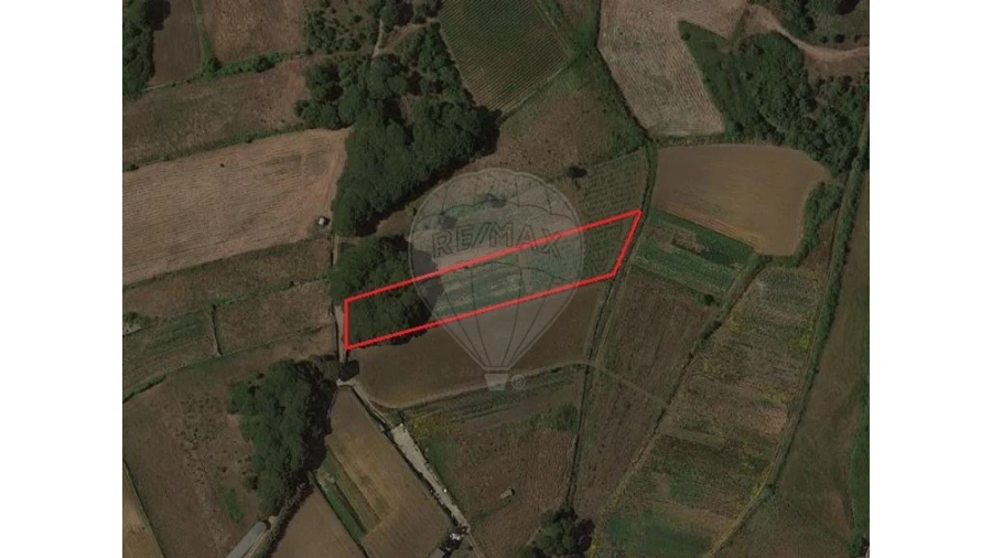 Terreno para Venda em São João das Lampas e Terrugem Foto 15