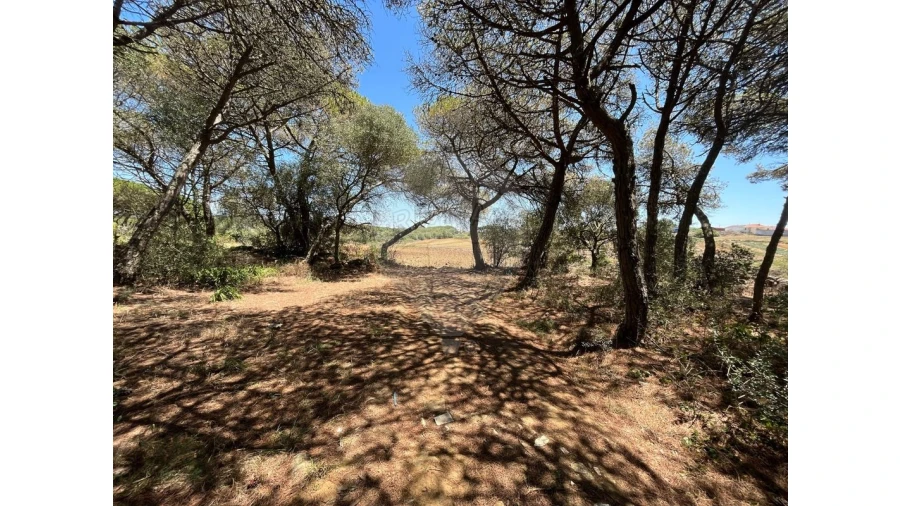 Terreno para Venda em São João das Lampas e Terrugem Foto 10