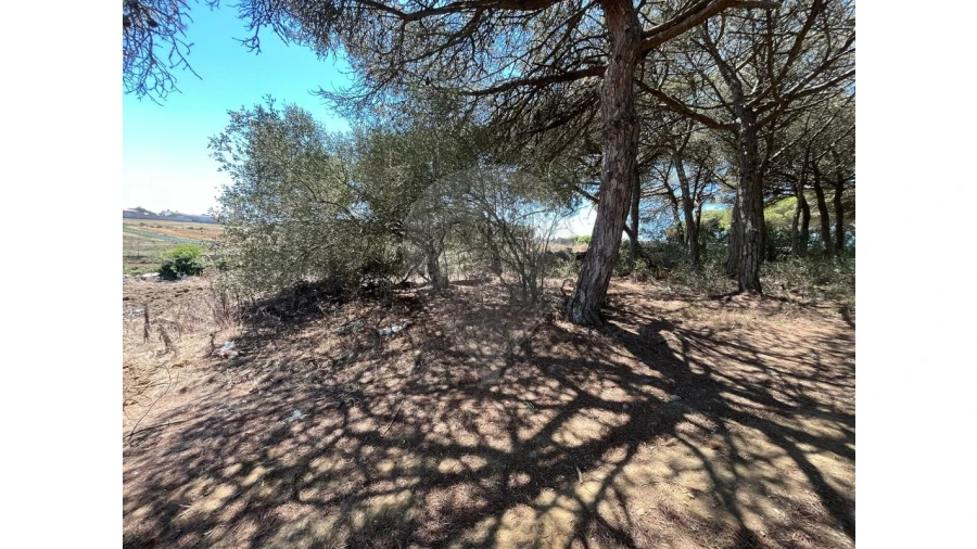 Terreno para Venda em São João das Lampas e Terrugem Foto 6