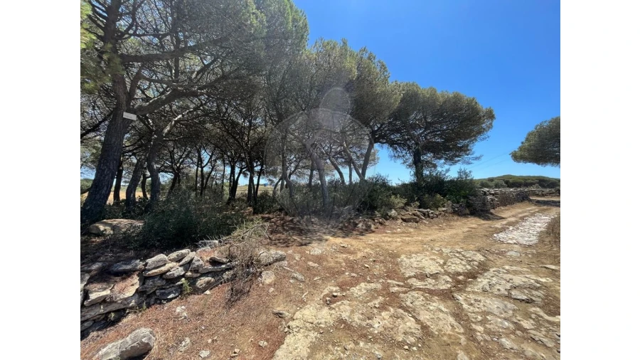 Terreno para Venda em São João das Lampas e Terrugem Foto 7