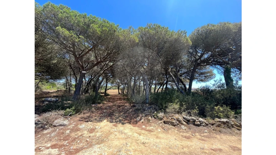 Terreno para Venda em São João das Lampas e Terrugem Foto 3