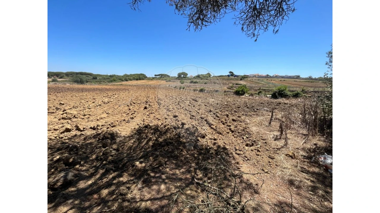 Terreno para Venda em São João das Lampas e Terrugem Foto 5