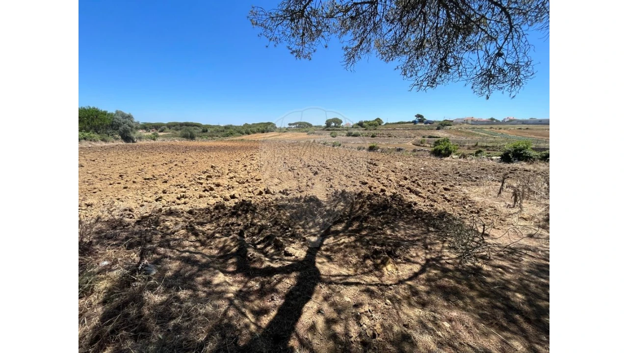 Terreno para Venda em São João das Lampas e Terrugem Foto 1