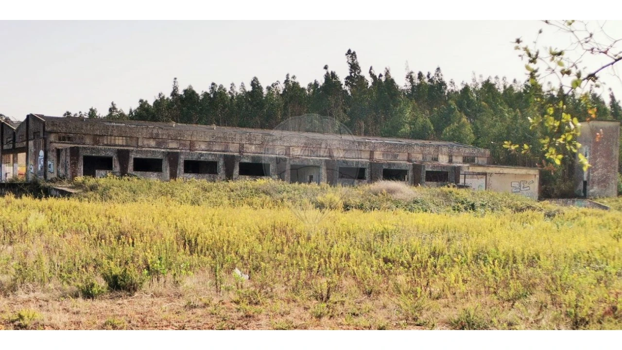 Armazém para Venda em Nossa Senhora do Pópulo, Coto e São Gregório Foto 18