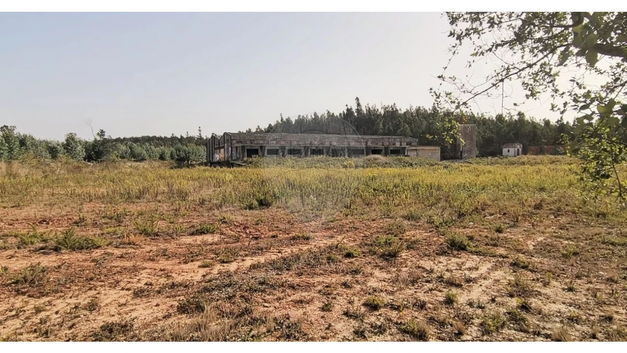 Armazém para Venda em Nossa Senhora do Pópulo, Coto e São Gregório Foto 19