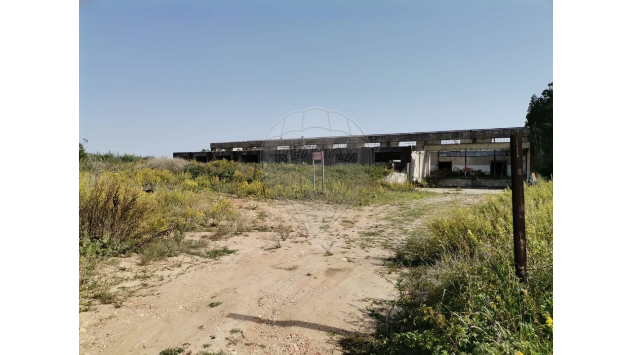 Armazém para Venda em Nossa Senhora do Pópulo, Coto e São Gregório Foto 23