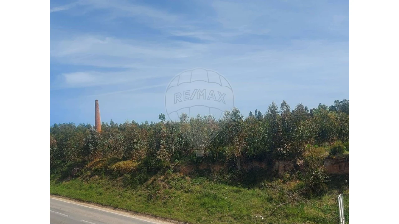 Armazém para Venda em Nossa Senhora do Pópulo, Coto e São Gregório Foto 17