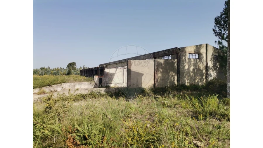 Armazém para Venda em Nossa Senhora do Pópulo, Coto e São Gregório Foto 22