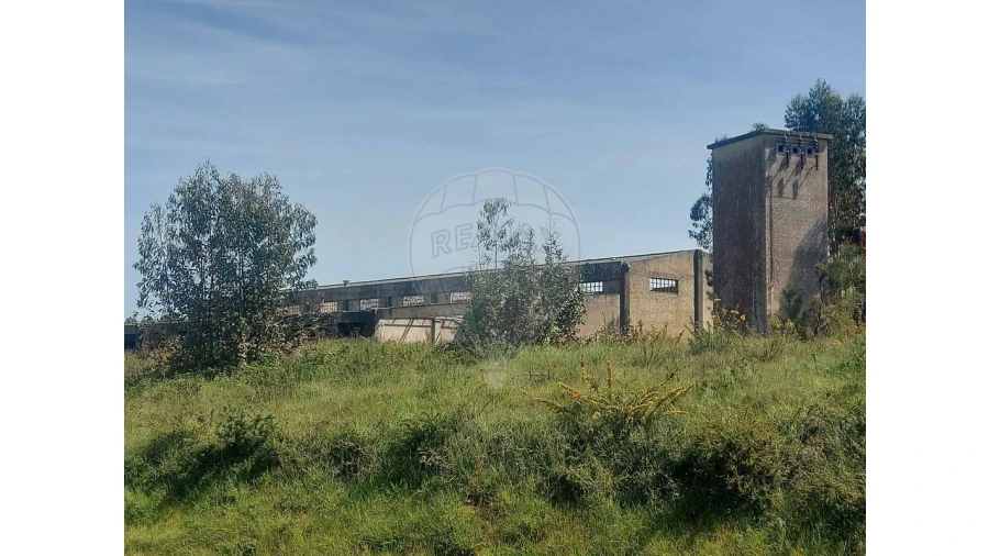 Armazém para Venda em Nossa Senhora do Pópulo, Coto e São Gregório Foto 14