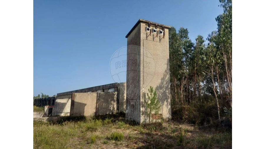 Armazém para Venda em Nossa Senhora do Pópulo, Coto e São Gregório Foto 11