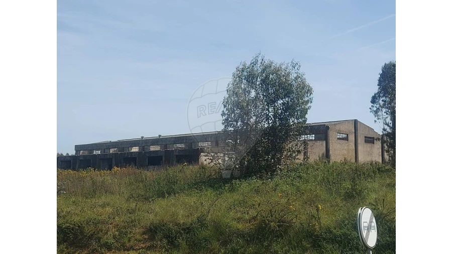 Armazém para Venda em Nossa Senhora do Pópulo, Coto e São Gregório Foto 16