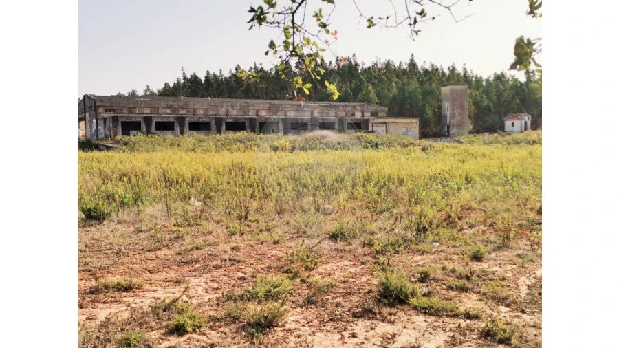 Armazém para Venda em Nossa Senhora do Pópulo, Coto e São Gregório Foto 1