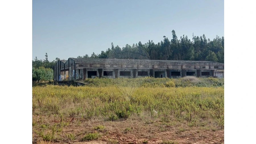 Armazém para Venda em Nossa Senhora do Pópulo, Coto e São Gregório Foto 3