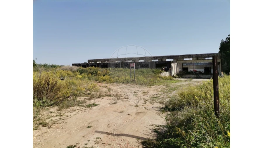 Armazém para Venda em Nossa Senhora do Pópulo, Coto e São Gregório Foto 23