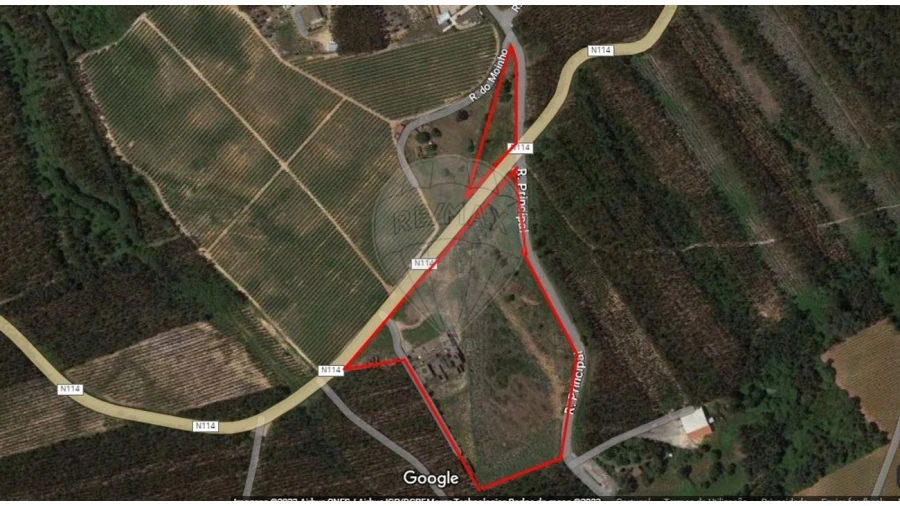 Armazém para Venda em Nossa Senhora do Pópulo, Coto e São Gregório Foto 2